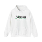 Arkansas The Natural State Hoodie