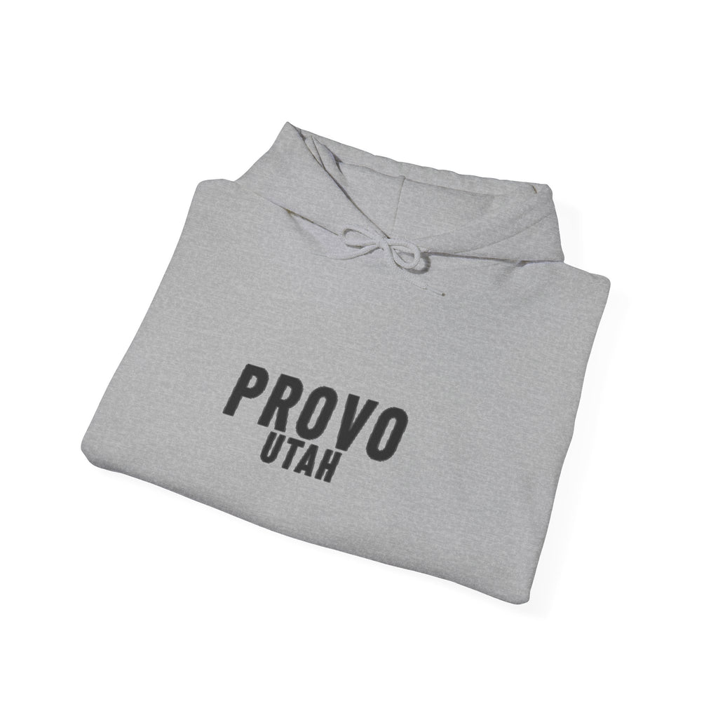 Provo Utah Hoodie