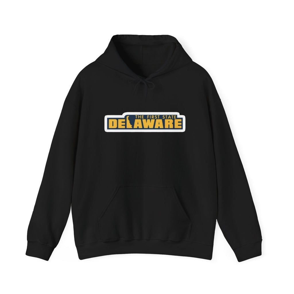 Delaware Graphic Hoodie