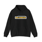 Delaware Graphic Hoodie