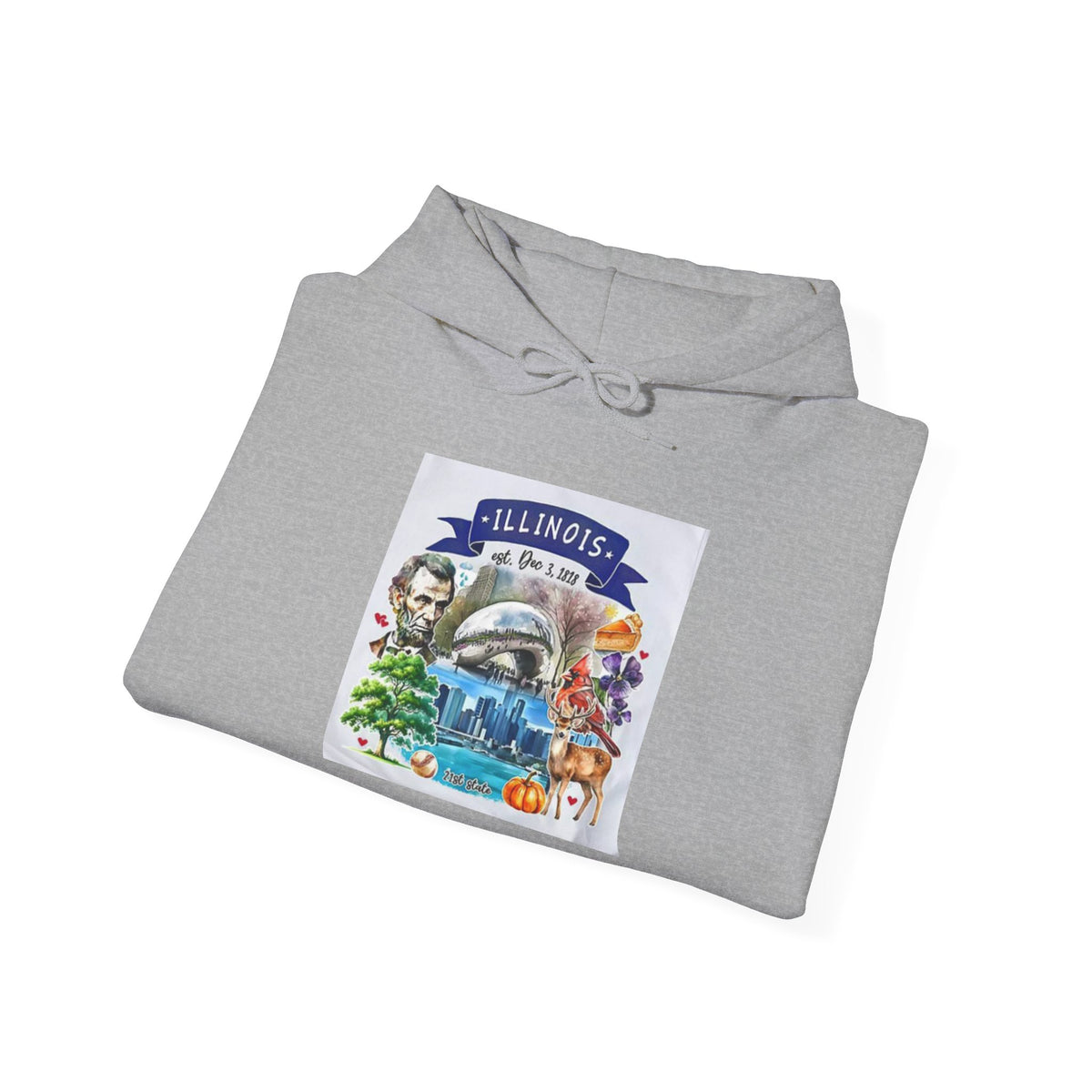 llinois State Themes and Landmarks Hoodie