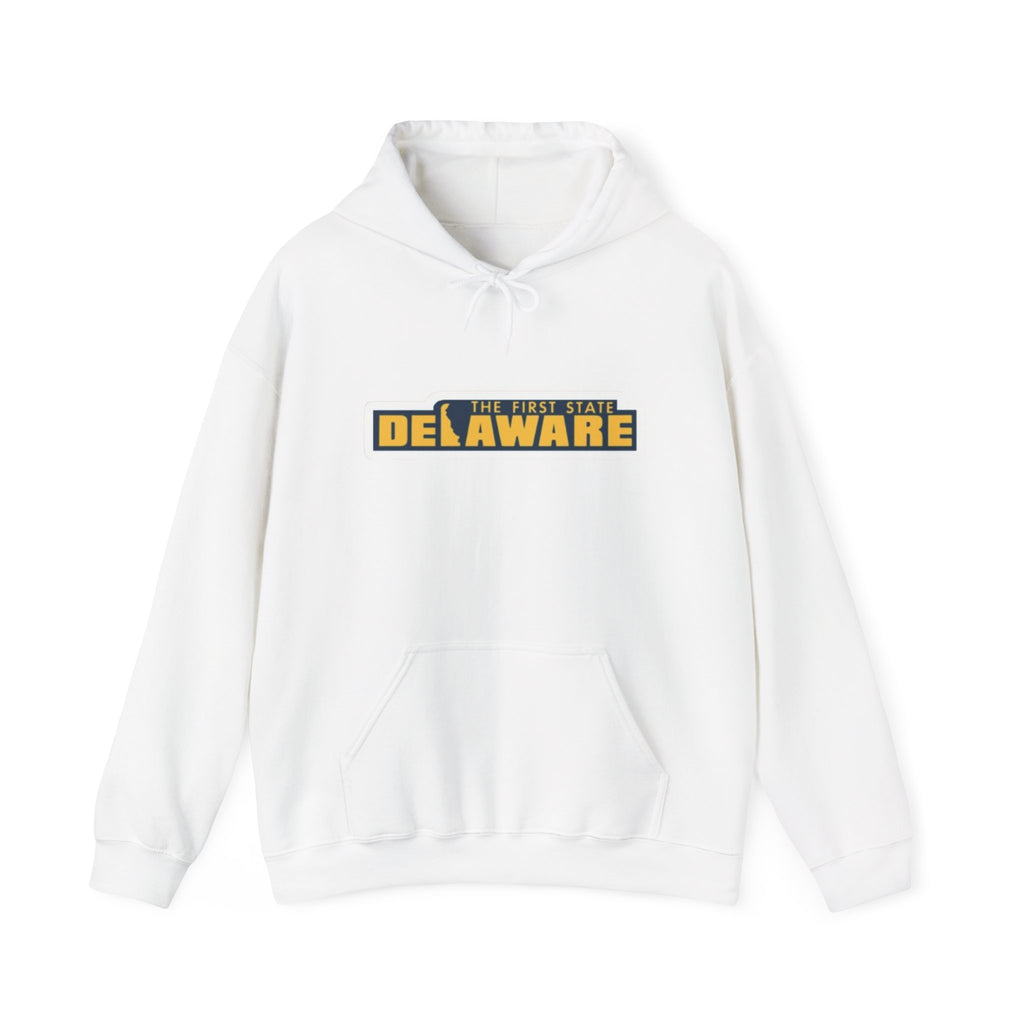 Delaware Graphic Hoodie