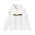 Delaware Graphic Hoodie