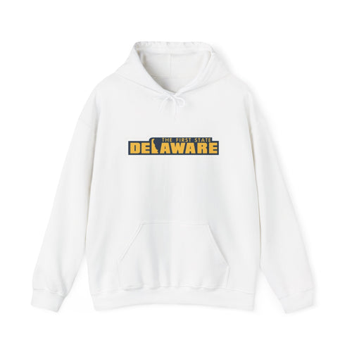 Delaware Graphic Hoodie