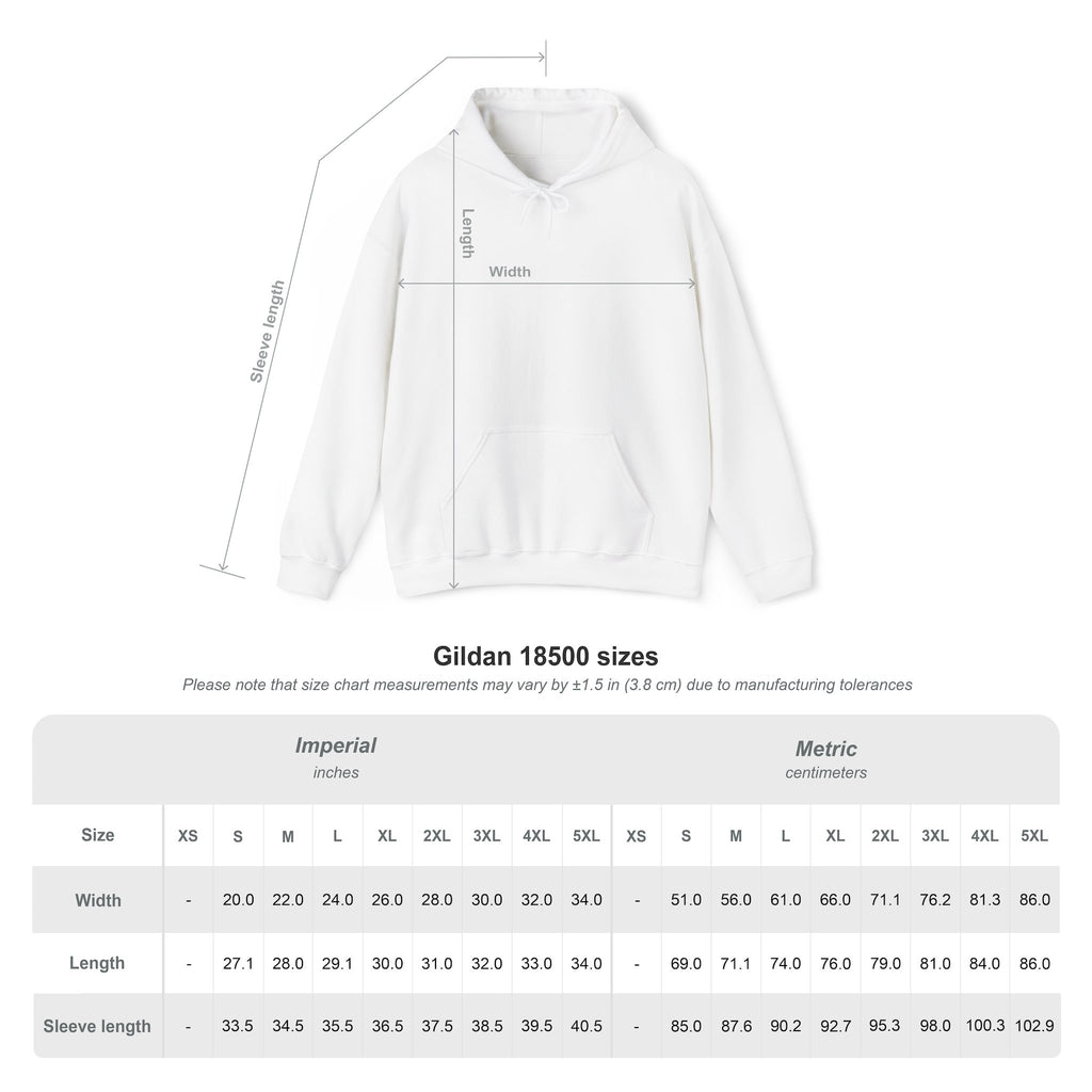 Grand Rapids Michigan Hoodie