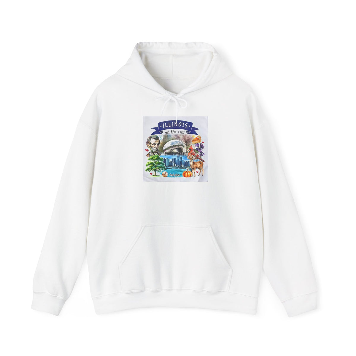 llinois State Themes and Landmarks Hoodie