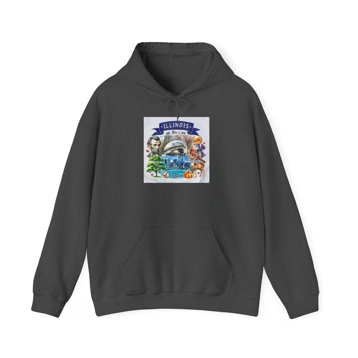 llinois State Themes and Landmarks Hoodie