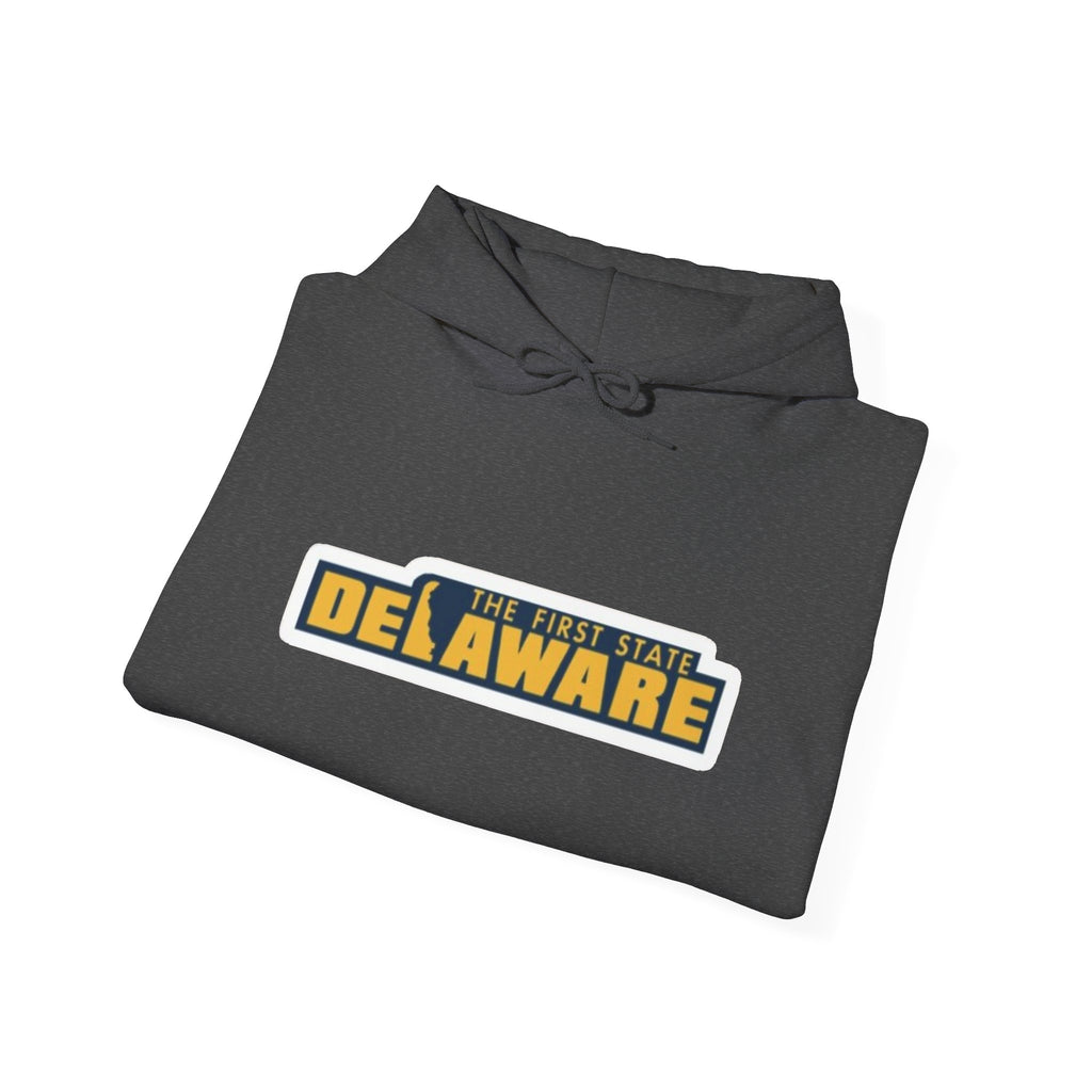 Delaware Graphic Hoodie