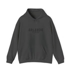 Orlando Florida Travel Souvenir Hoodie