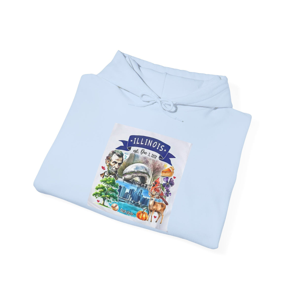 llinois State Themes and Landmarks Hoodie