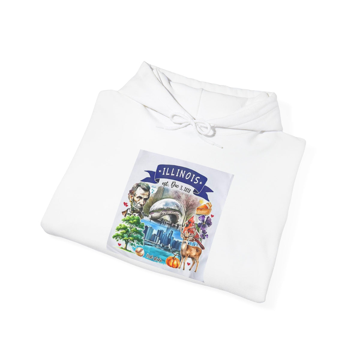 llinois State Themes and Landmarks Hoodie