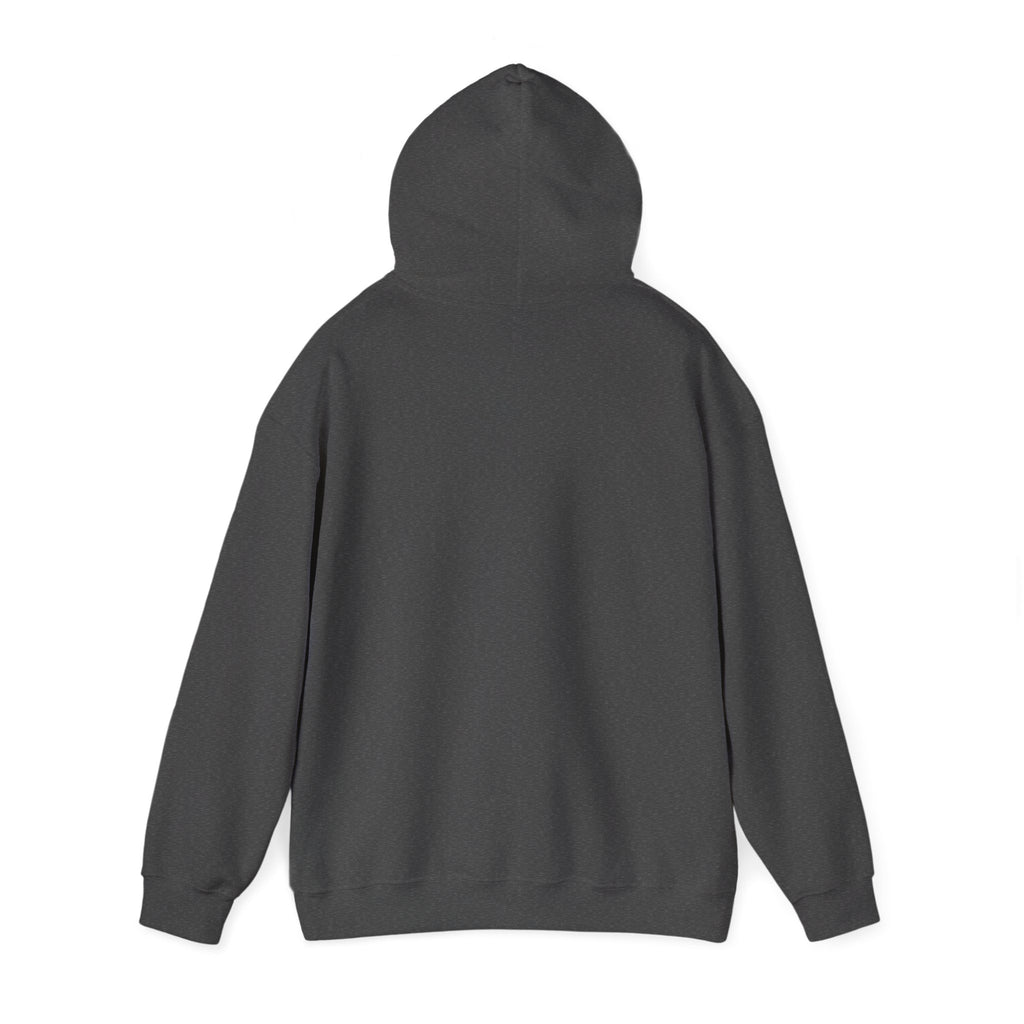 I’m This Old Funny Vintage-Inspired Unisex Hoodie
