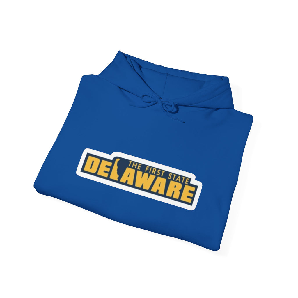 Delaware Graphic Hoodie