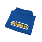 Delaware Graphic Hoodie