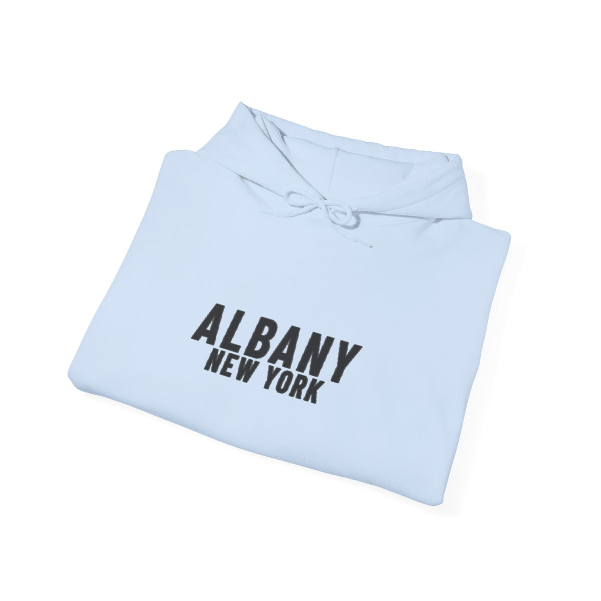 Albany New York Hoodie