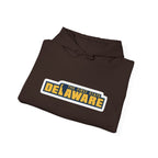 Delaware Graphic Hoodie