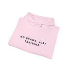 No Drama Just Training Hoodie