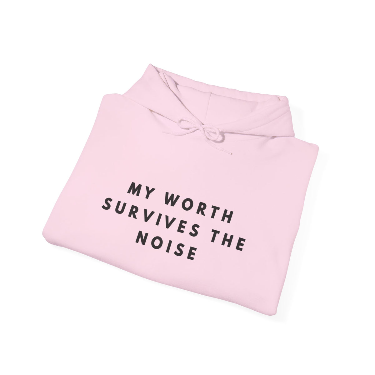 My Worth Survives the Noise Hoodie