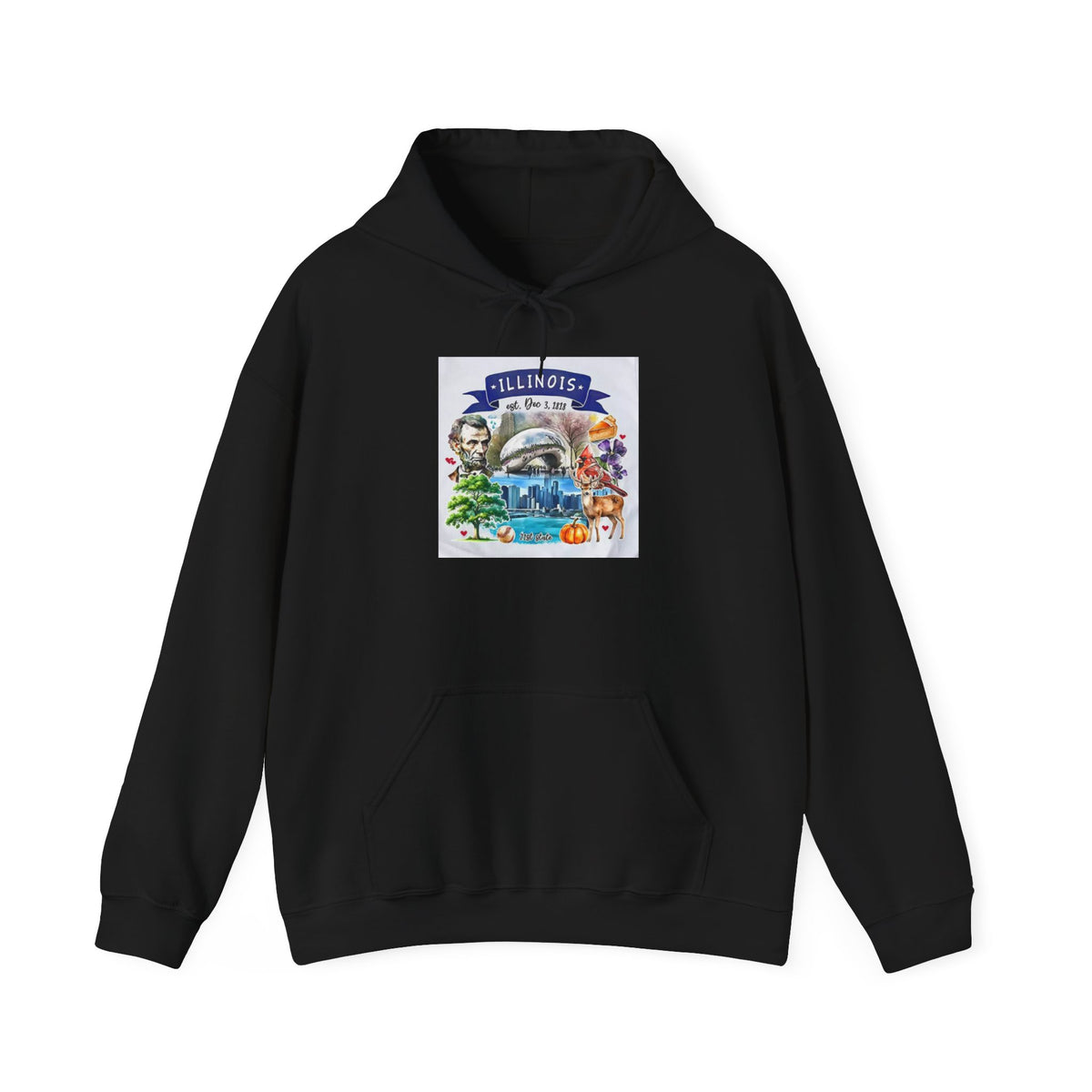 llinois State Themes and Landmarks Hoodie