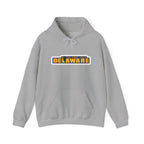 Delaware Graphic Hoodie