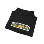 Delaware Graphic Hoodie