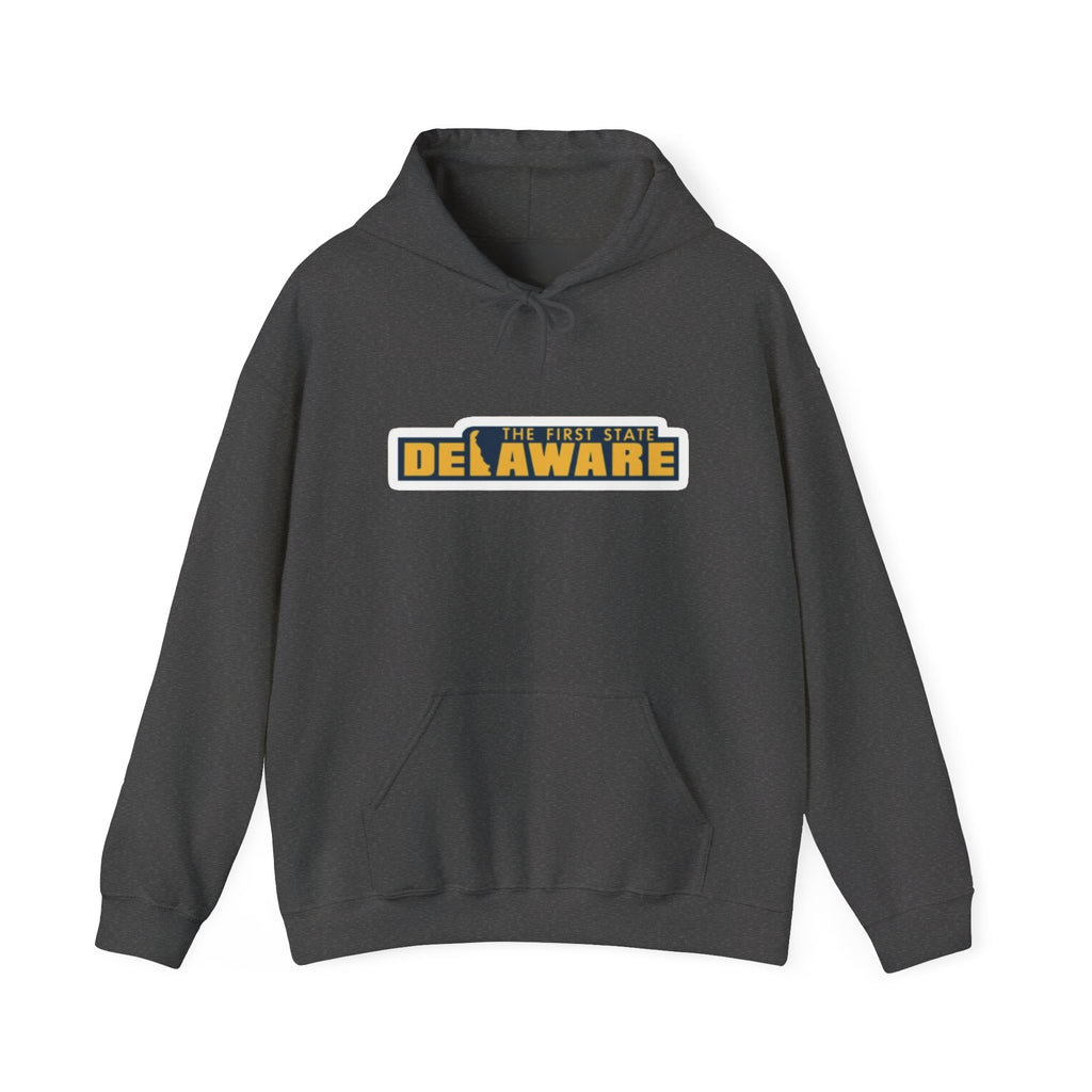 Delaware Graphic Hoodie