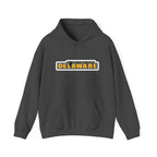 Delaware Graphic Hoodie