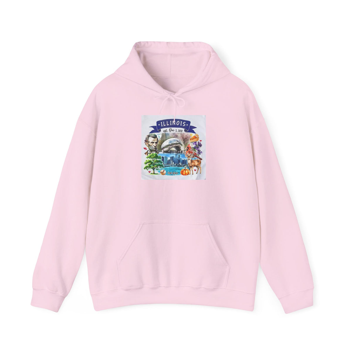 llinois State Themes and Landmarks Hoodie