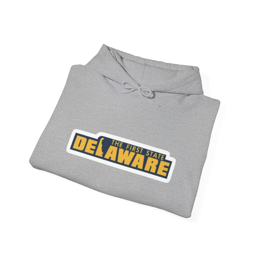 Delaware Graphic Hoodie