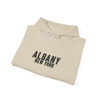 Albany New York Hoodie