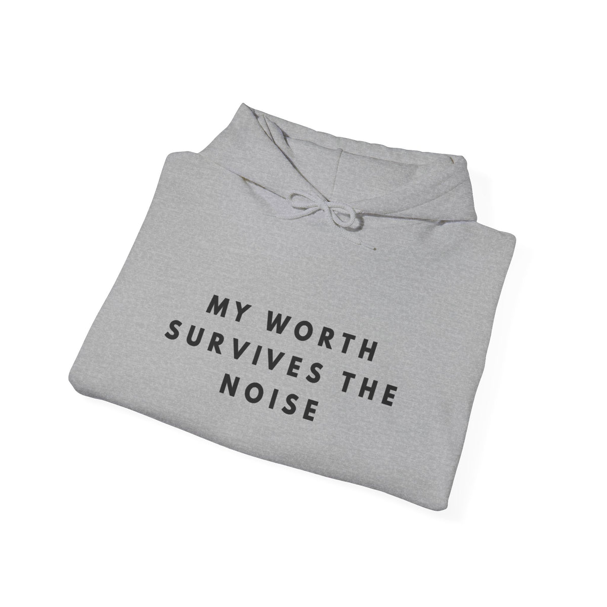 My Worth Survives the Noise Hoodie