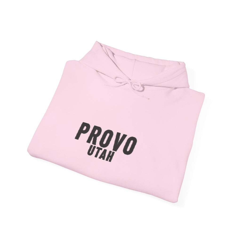 Provo Utah Hoodie