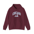 Chicago Skyline Unisex Hoodie