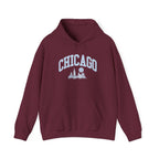 Chicago Skyline Unisex Hoodie