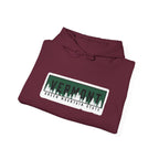 Vermont Graphic Hoodie