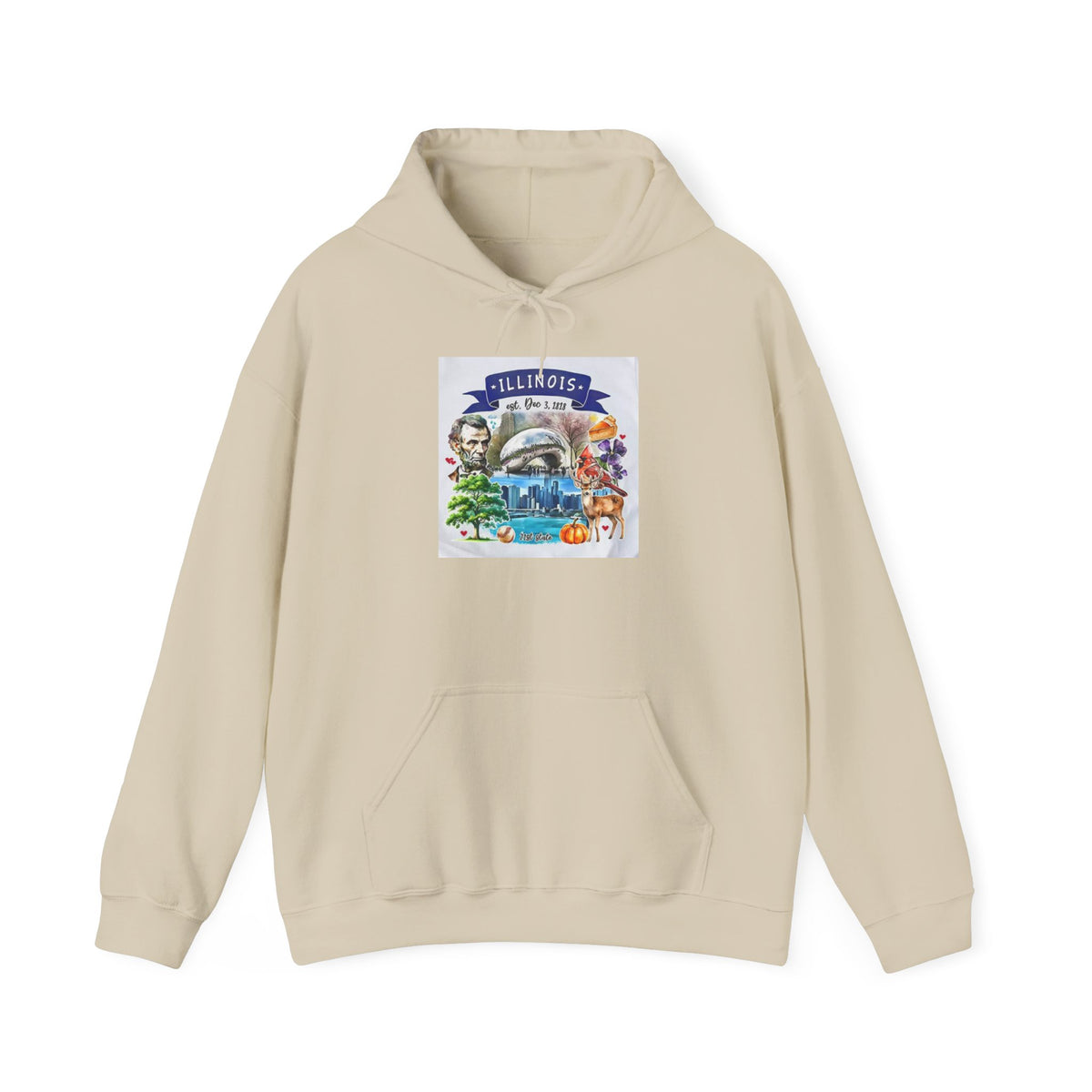 llinois State Themes and Landmarks Hoodie