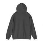 Delaware Graphic Hoodie