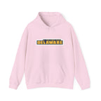 Delaware Graphic Hoodie