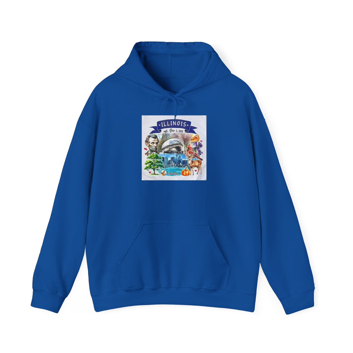 llinois State Themes and Landmarks Hoodie