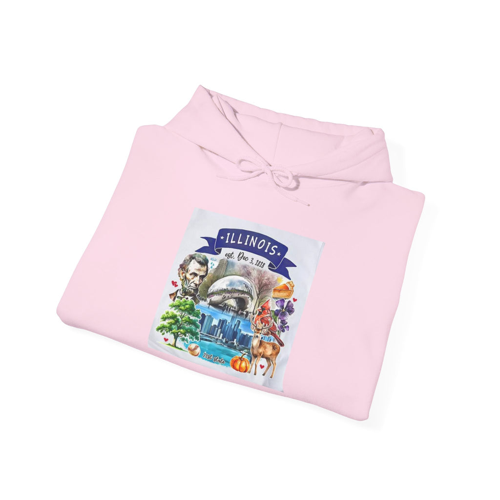 llinois State Themes and Landmarks Hoodie