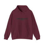 Jacksonville Florida Souvenir Hoodie
