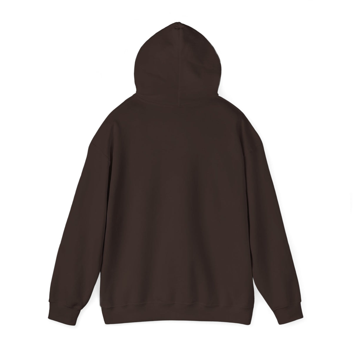 Denver Vintage Travel Poster Hoodie